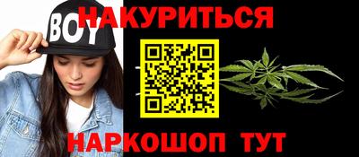 гидра Будённовск