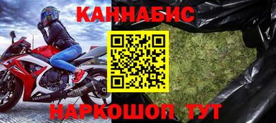 гидра Будённовск