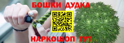 гидра Будённовск