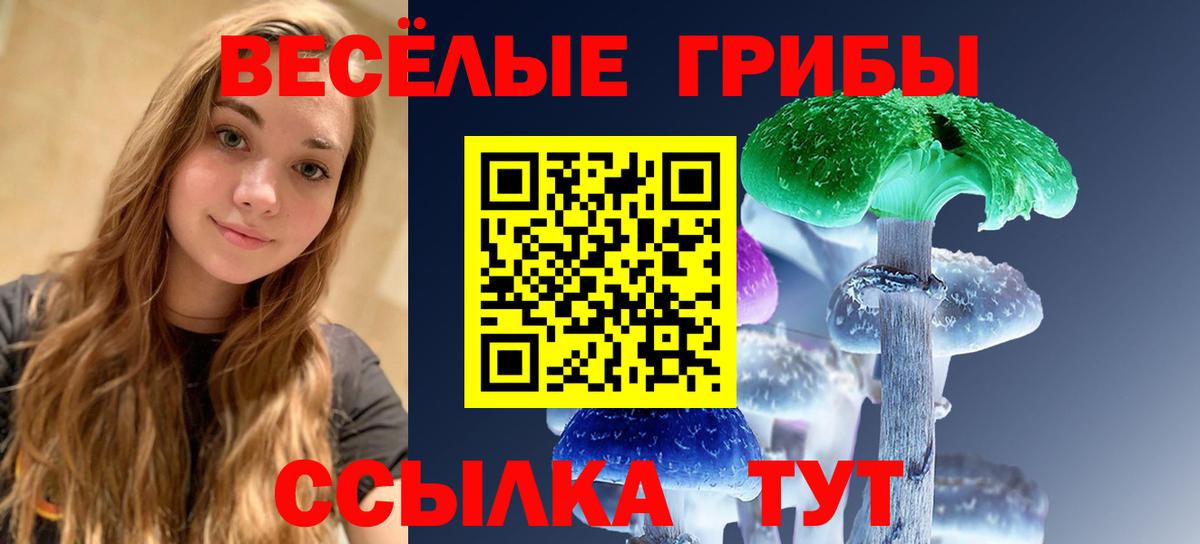 Галлюциногенные грибы Psilocybe Ярославль