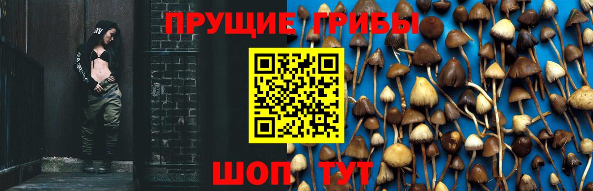 Ярославль  купить   Вход с VPN  Галлюциногенные грибы мухоморы 